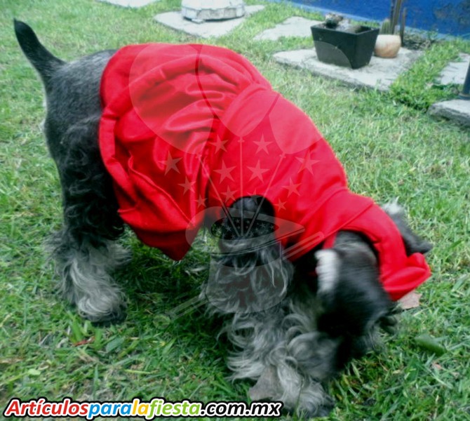 DISFRAZ PARA MASCOTA DE CAPERUCITA ROJA